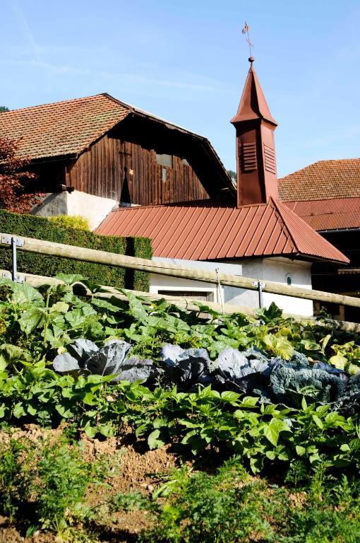 La Ferme D Emilienne Bed and Breakfast Σαλάνς Εξωτερικό φωτογραφία